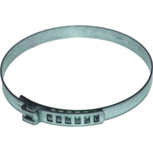 BIRTH Halteschelle 4984