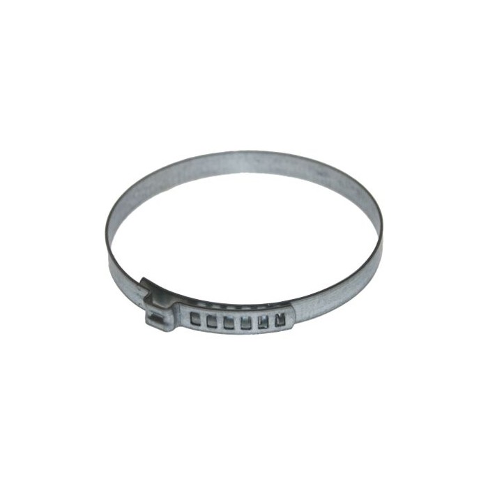 BIRTH Halteschelle 4984