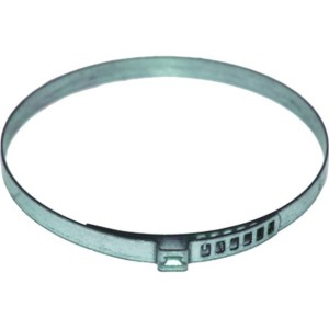 BIRTH Halteschelle 4985