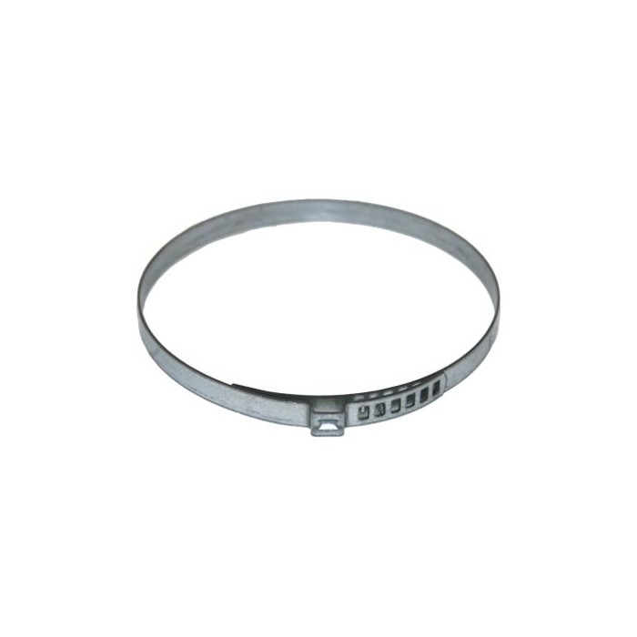 BIRTH Halteschelle 4985