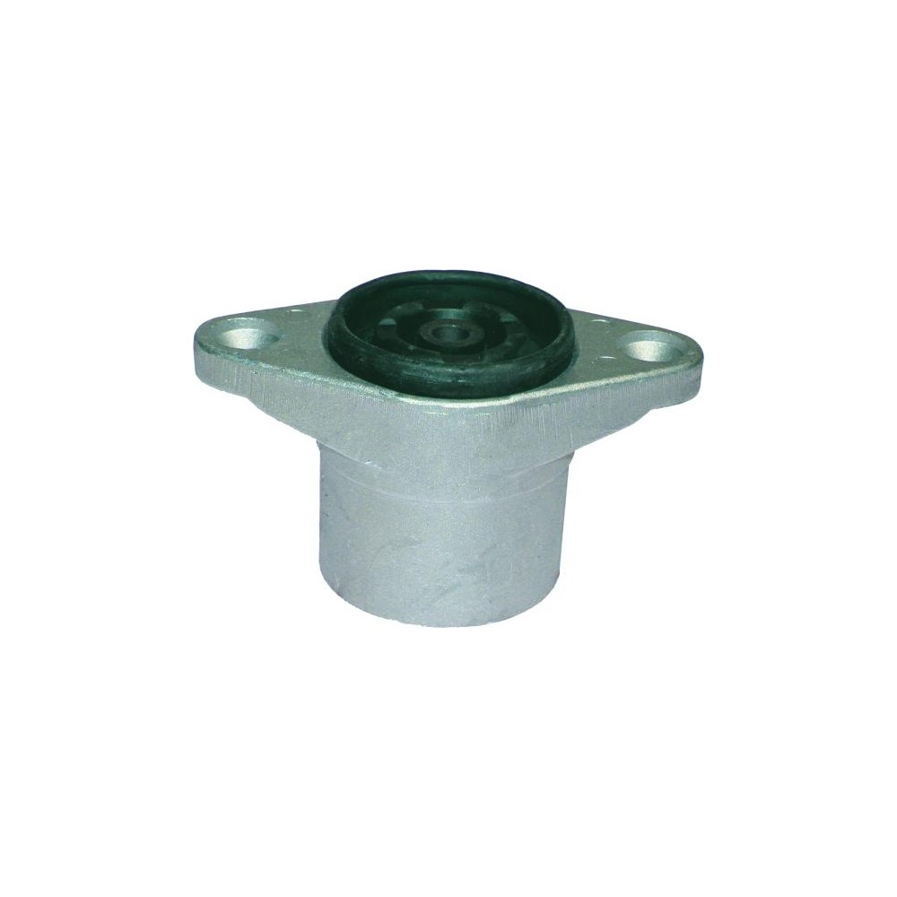 BIRTH Federbeinstützlager 50289