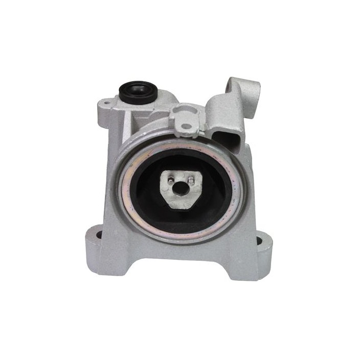 BIRTH Lagerung, Motor 50384