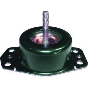 BIRTH Lagerung, Motor 50679