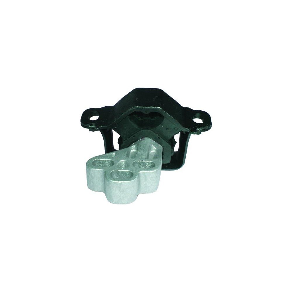 BIRTH Lagerung, Motor 50828