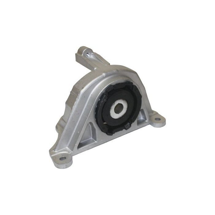 BIRTH Lagerung, Motor 50848