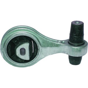 BIRTH Lagerung, Motor 50852