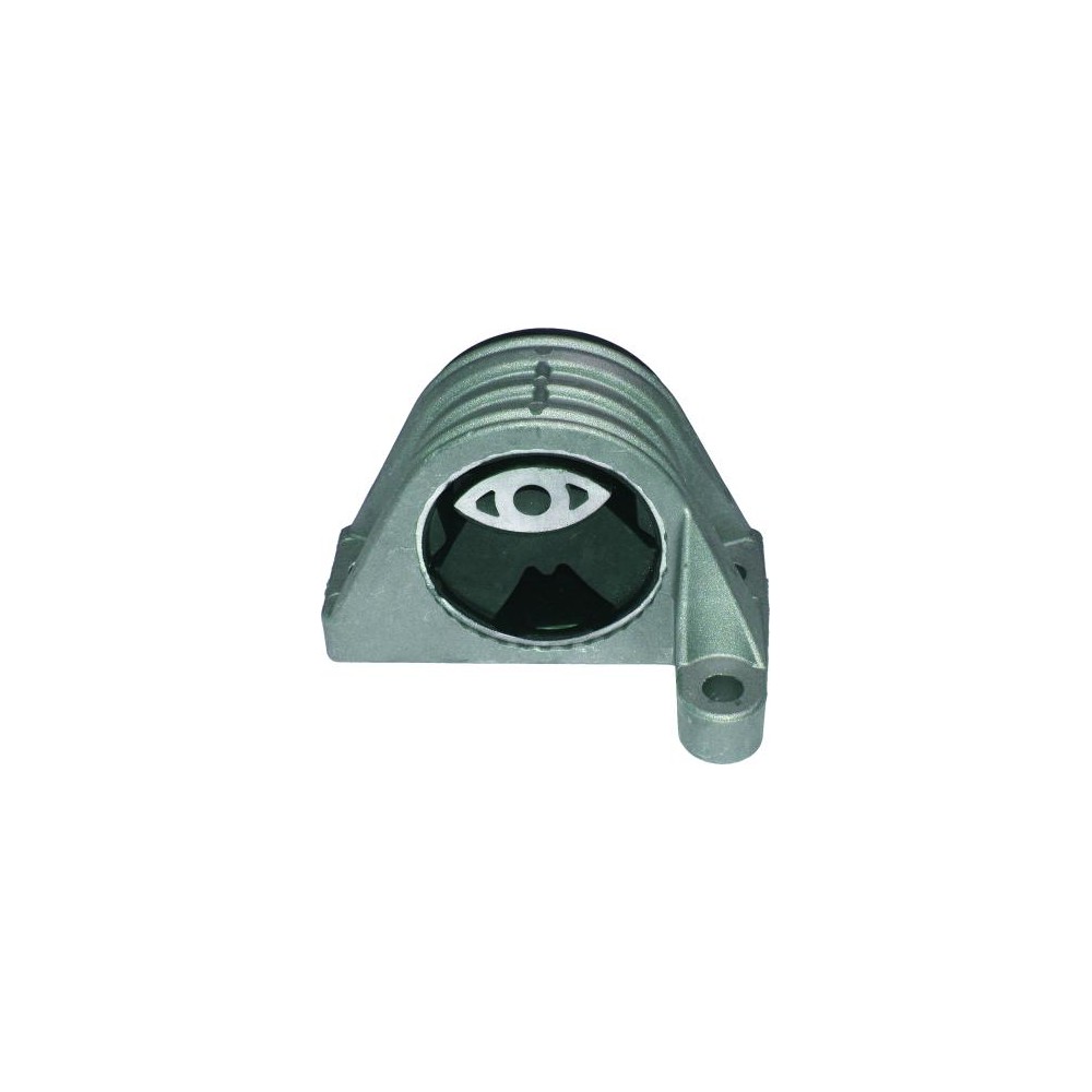 BIRTH Lagerung, Motor 50863