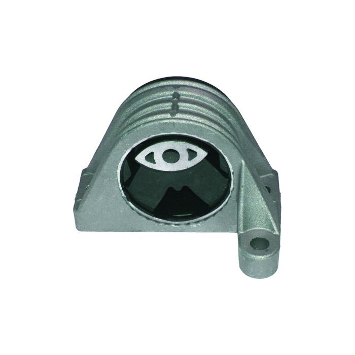 BIRTH Lagerung, Motor 50863