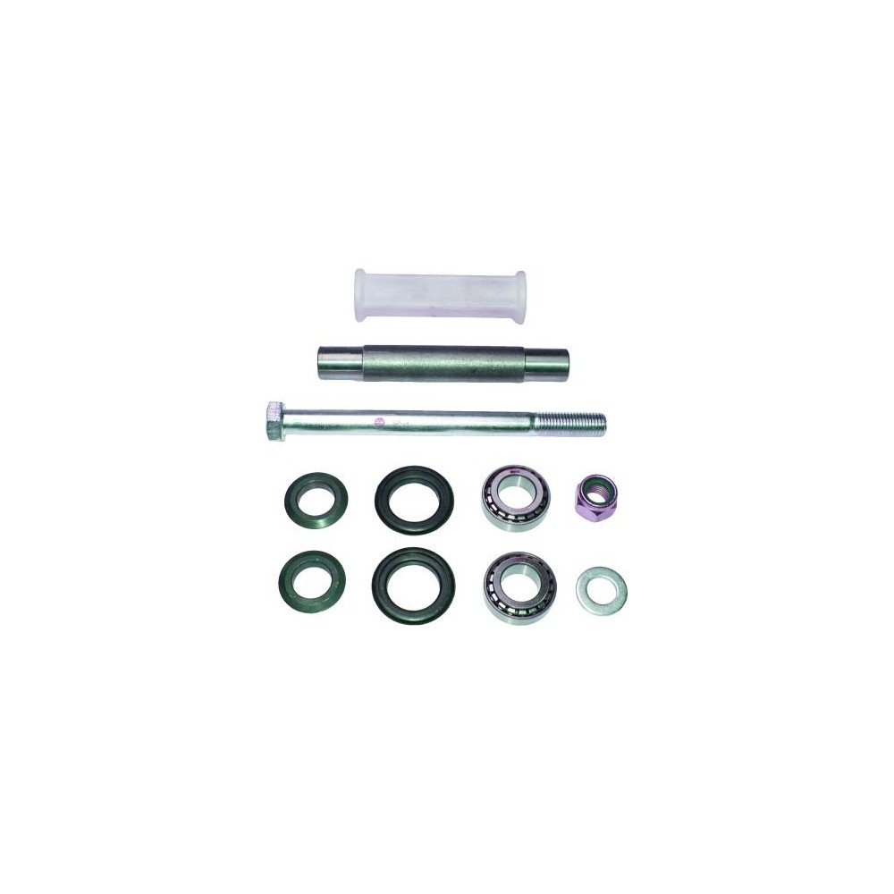 BIRTH Reparatursatz, Querlenker 50934