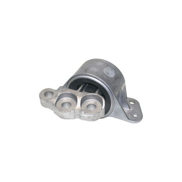 BIRTH Lagerung, Motor 51012