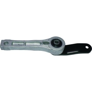 BIRTH Lagerung, Motor 51079