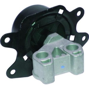 BIRTH Lagerung, Motor 51197