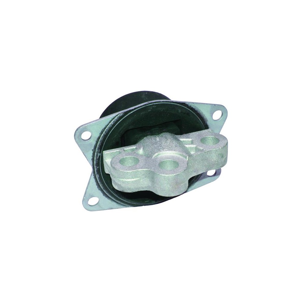 BIRTH Lagerung, Motor 51228