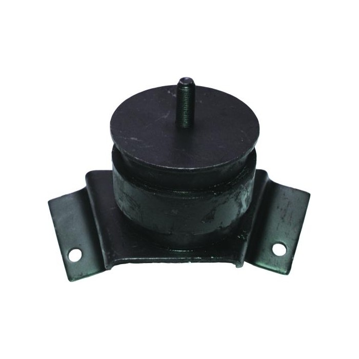 BIRTH Lagerung, Motor 51541