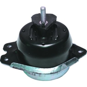 BIRTH Lagerung, Motor 51658