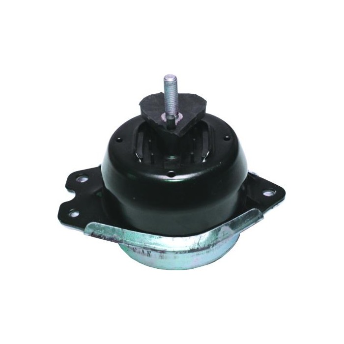 BIRTH Lagerung, Motor 51658