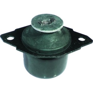 BIRTH Lagerung, Motor 5170