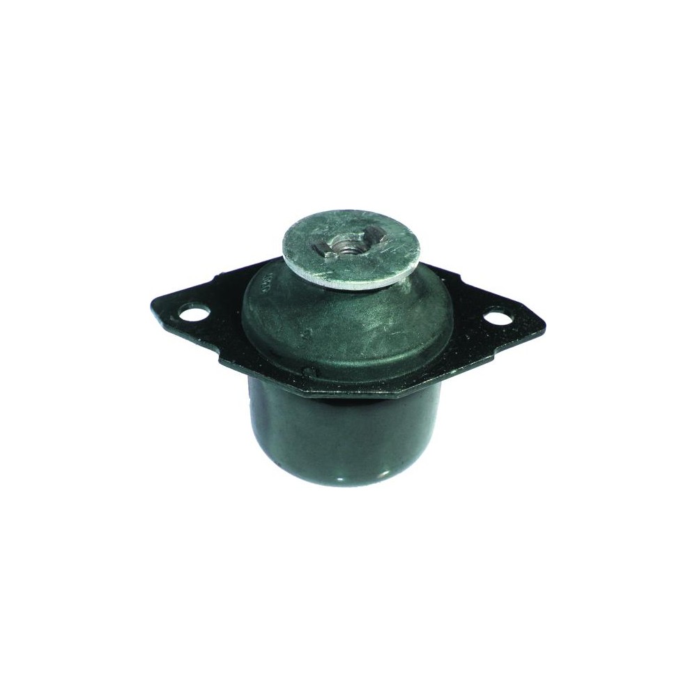 BIRTH Lagerung, Motor 5170