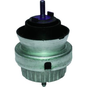 BIRTH Lagerung, Motor 51862