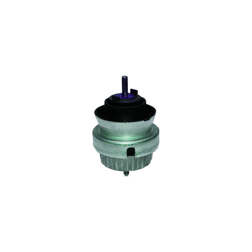 BIRTH Lagerung, Motor 51862