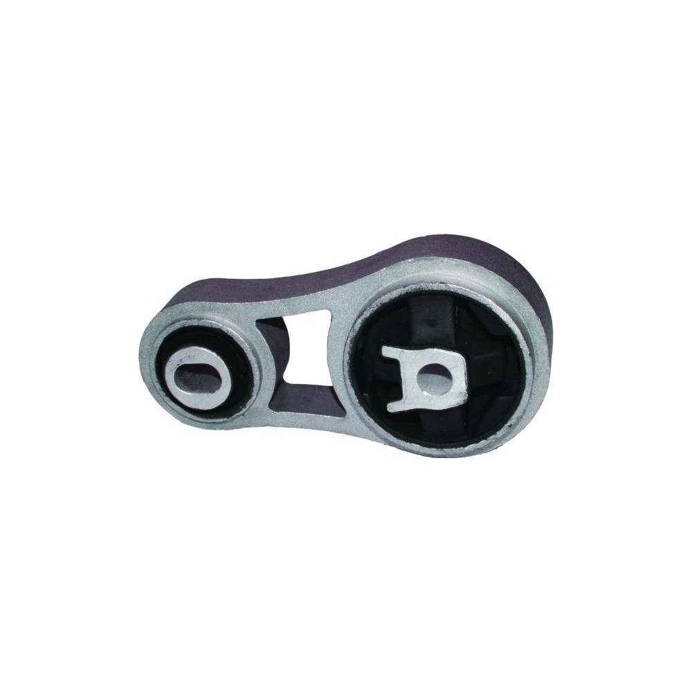 BIRTH Lagerung, Motor 51979