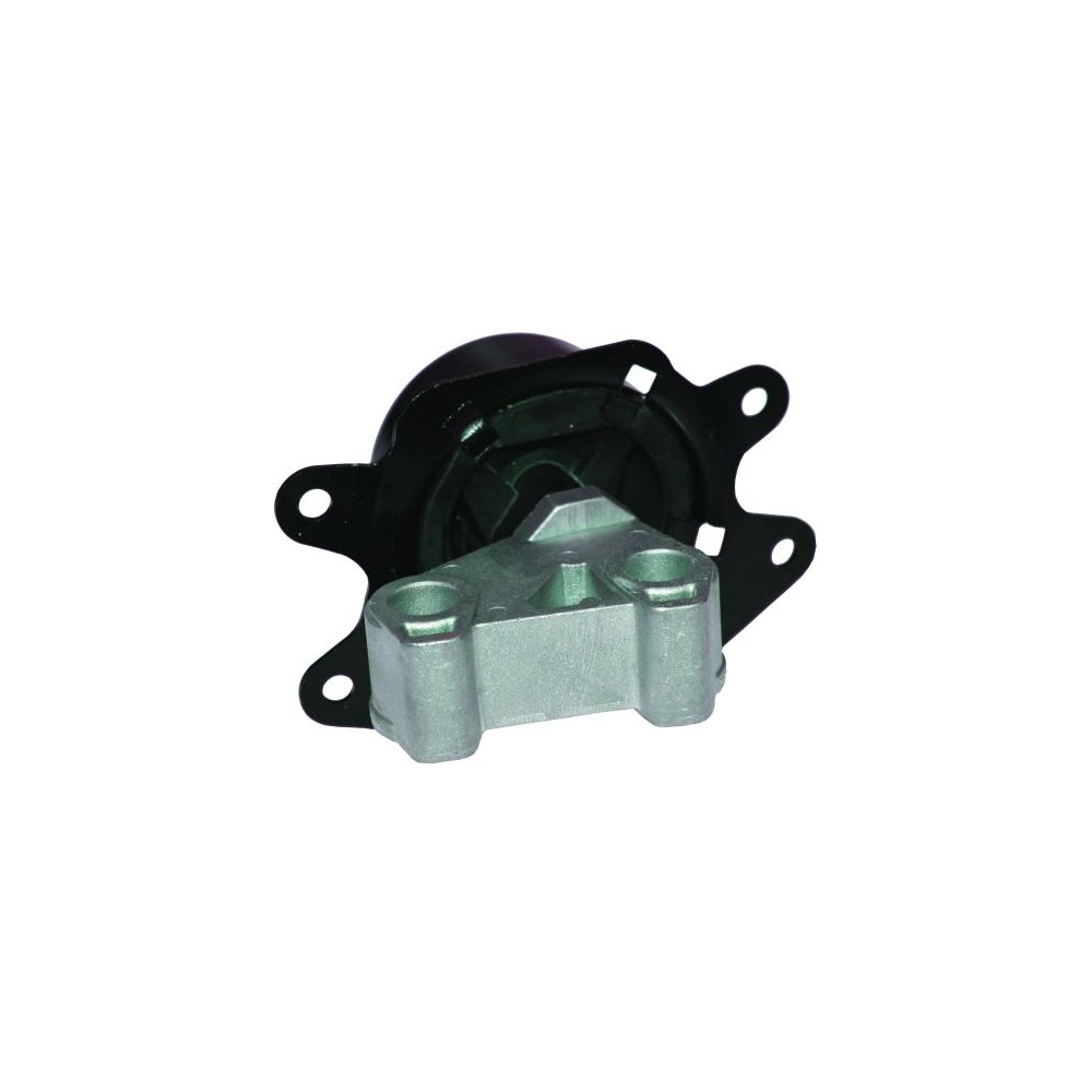 BIRTH Lagerung, Motor 52022