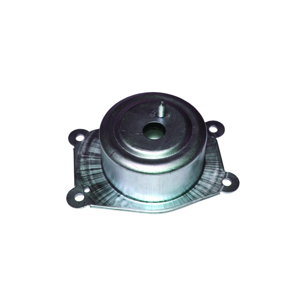 BIRTH Lagerung, Motor 52031