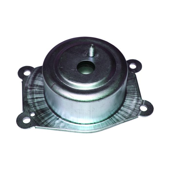 BIRTH Lagerung, Motor 52031