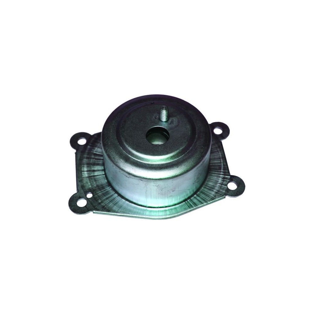 BIRTH Lagerung, Motor 52033