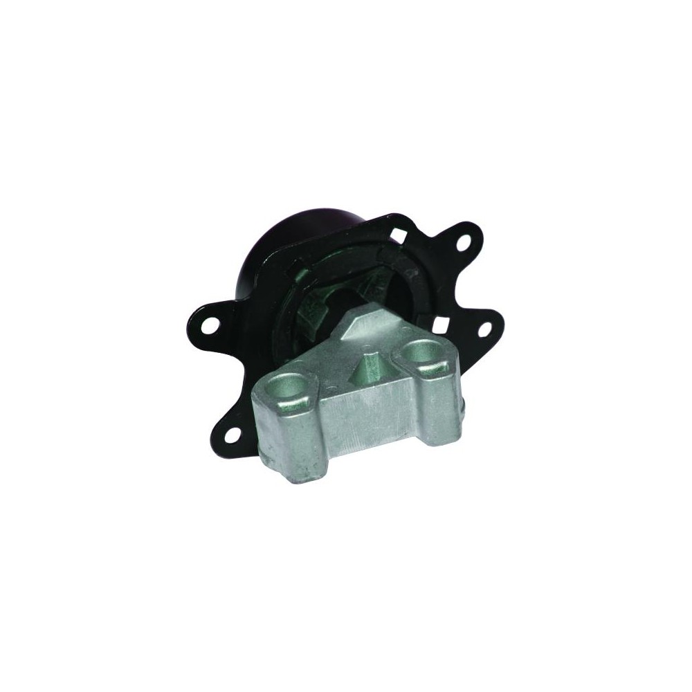 BIRTH Lagerung, Motor 52034