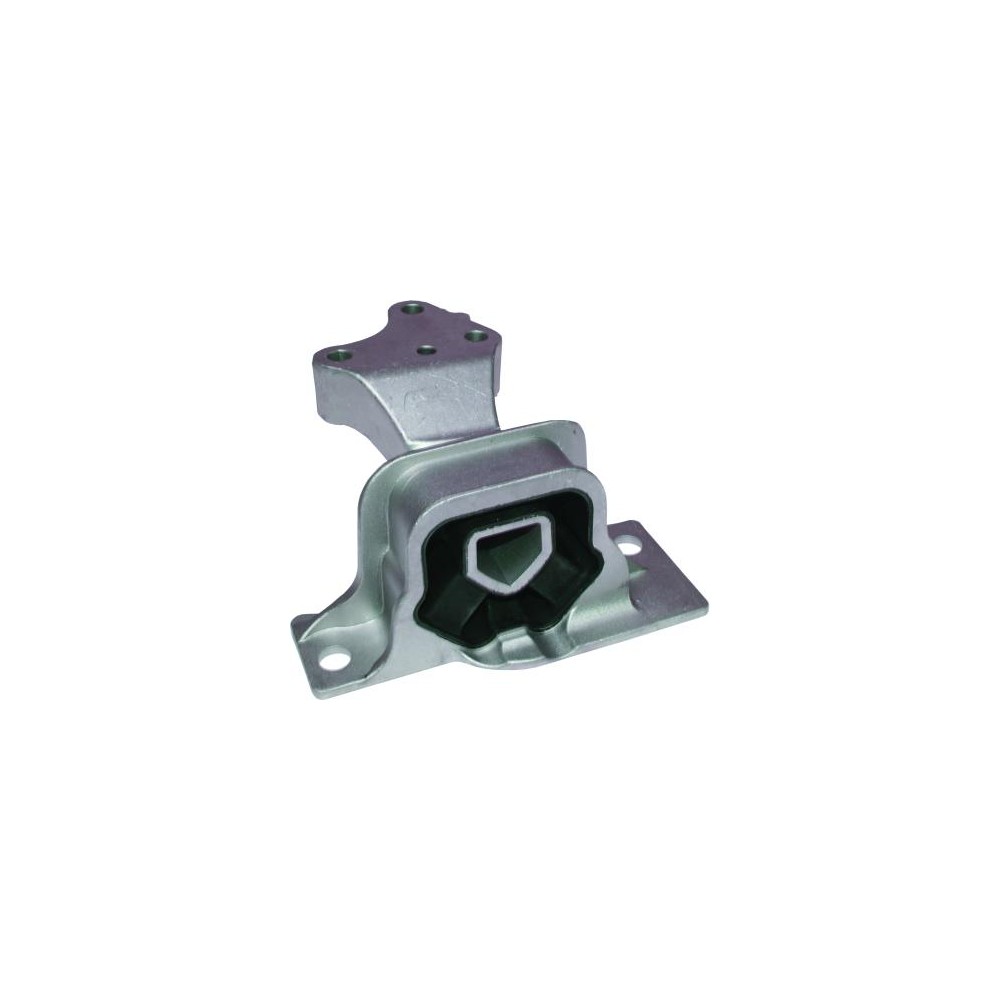 BIRTH Lagerung, Motor 52067