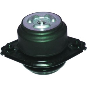 BIRTH Lagerung, Motor 52115