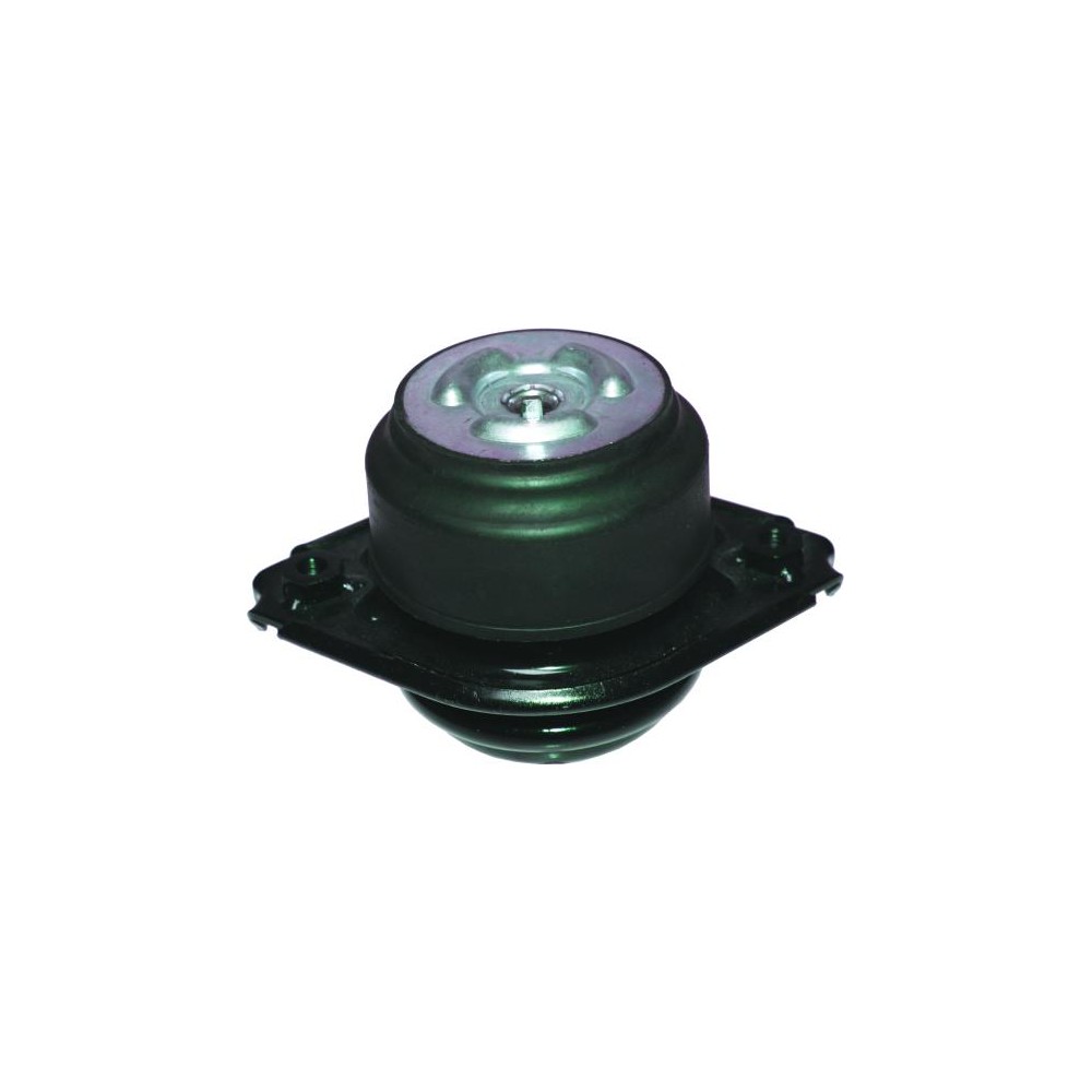 BIRTH Lagerung, Motor 52115