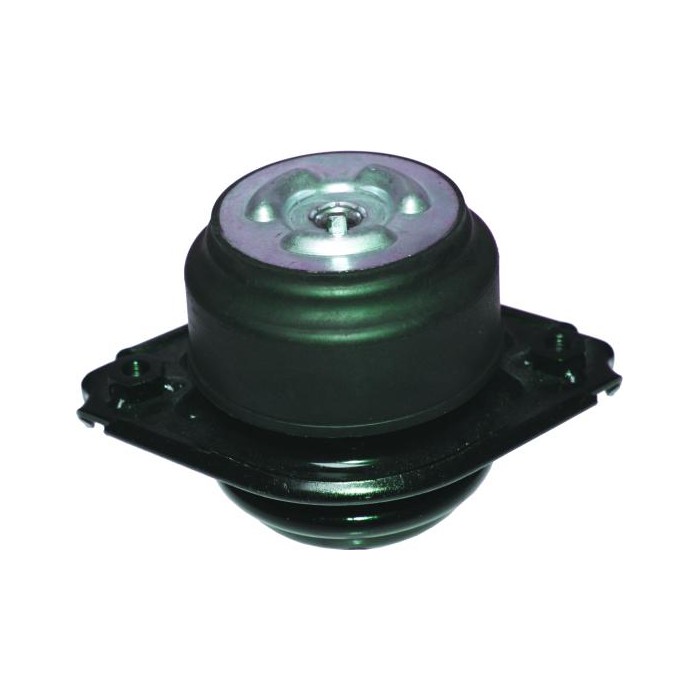 BIRTH Lagerung, Motor 52115