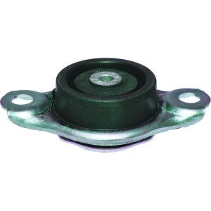 BIRTH Lagerung, Motor 52190