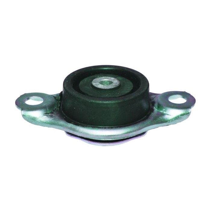 BIRTH Lagerung, Motor 52190