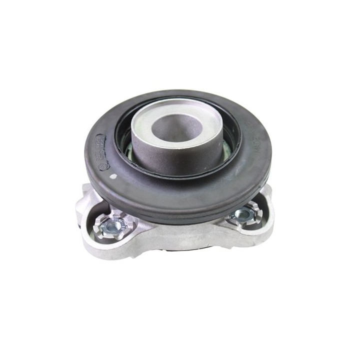 BIRTH Federbeinstützlager 52548