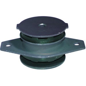 BIRTH Lagerung, Motor 5365