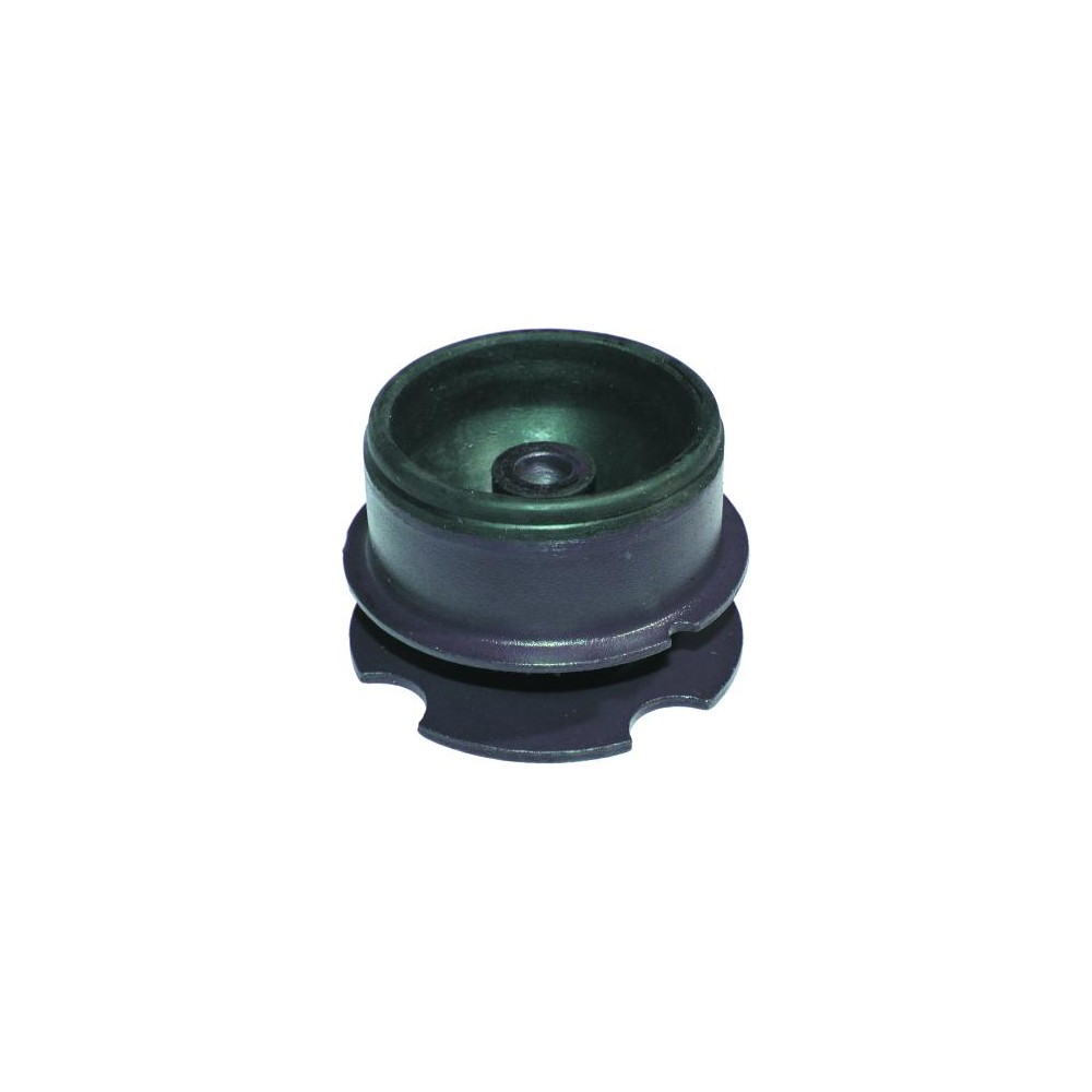 BIRTH Lagerung, Motor 5366