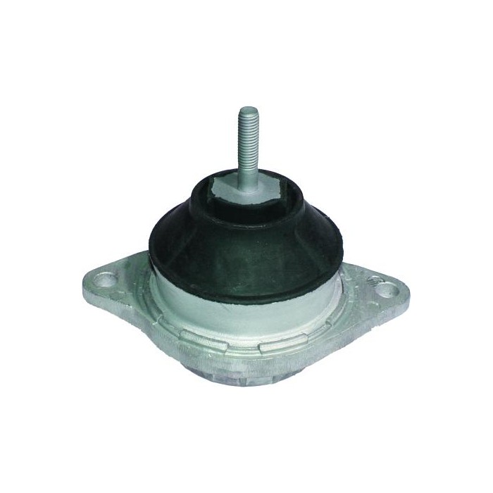 BIRTH Lagerung, Motor 5460