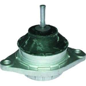 BIRTH Lagerung, Motor 5466