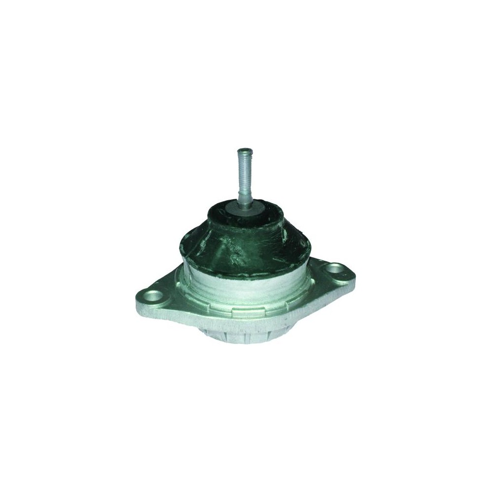 BIRTH Lagerung, Motor 5466