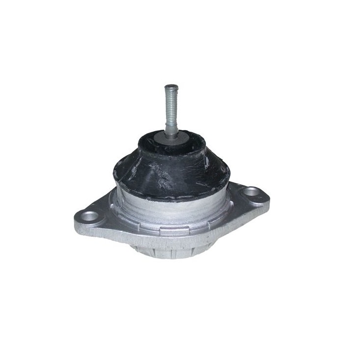 BIRTH Lagerung, Motor 5466