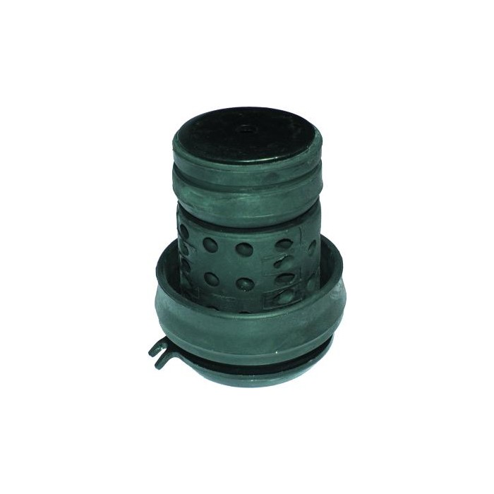 BIRTH Lagerung, Motor 5472