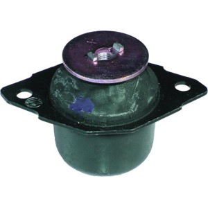 BIRTH Lagerung, Motor 5493