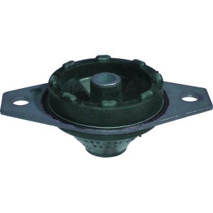 BIRTH Lagerung, Motor 5509