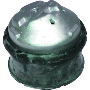 BIRTH Lagerung, Motor 5565