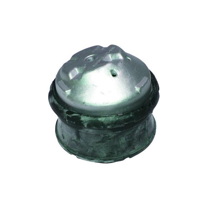 BIRTH Lagerung, Motor 5565