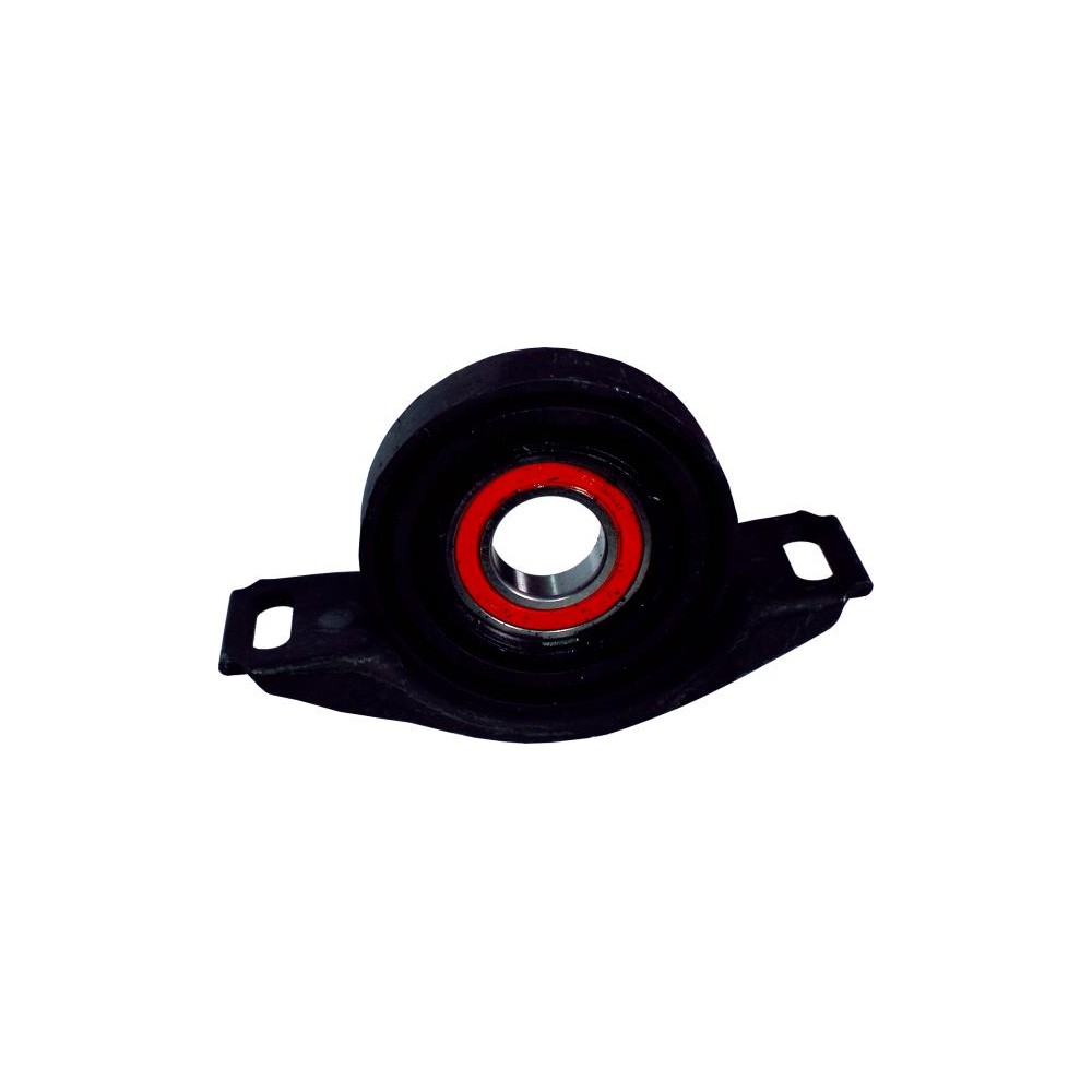 BIRTH Lagerung, Gelenkwelle 5568