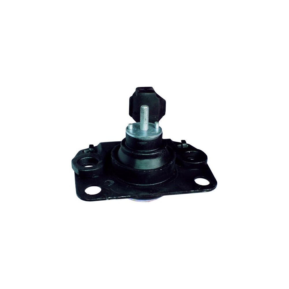 BIRTH Lagerung, Motor 5618